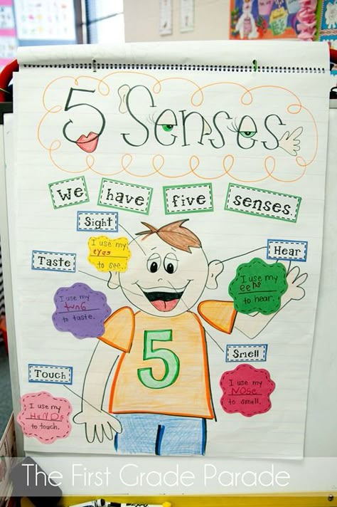 5 Senses Activities | The First Grade Parade with Printables from Pencils, Glue, and Tying Shoes Senses Anchor Chart, Curriculum Themes, 5 Senses Activities, First Grade Parade, Senses Preschool, My Five Senses, Science Anchor Charts, Senses Activities, Lesson Activities