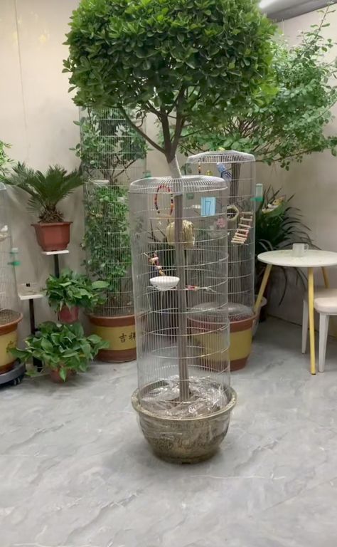 Bird Cages Diy, Birds Cage Ideas Outdoor, Mini Tree House, Bird Enclosure, Birdcage Ideas, Bird Cage Ideas, Parrot Habitat, Diy Bird Cage, Small Bird Cage