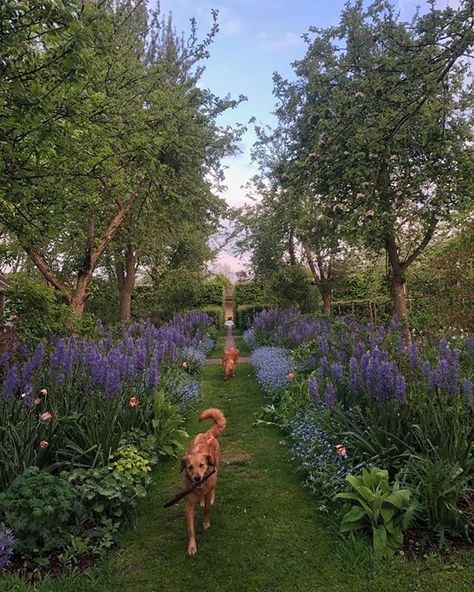 Orchard Garden, Monty Don, Evening Walk, Have Inspiration, Nature Aesthetic, Permaculture, Dream Garden, Garden Planning, Mykonos