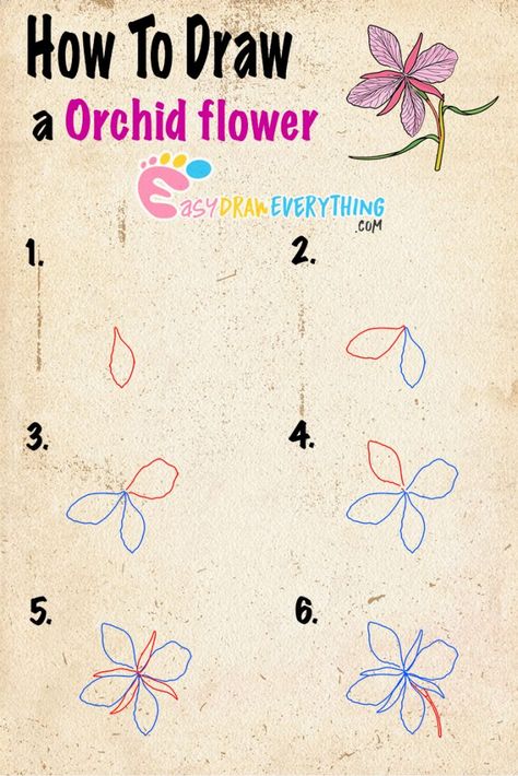 How To Draw An Orchid Step By Step, How To Draw Orchids, Orchid Drawing Simple, Orchid Flower Drawing, Orchids Care, Orchid Drawing, Simple Flower Drawing, Orchids Painting, Ipad Homescreen