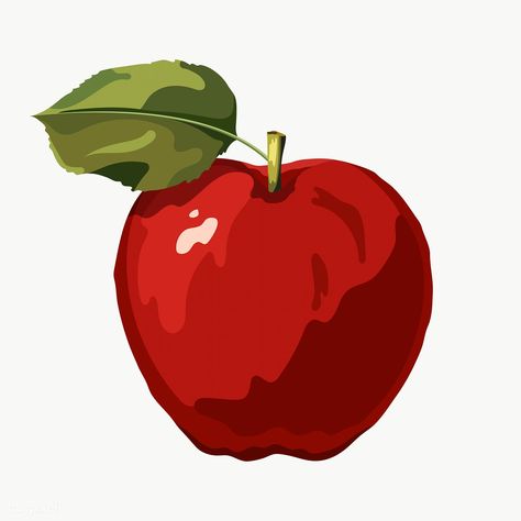 Red vectorized apple illustration sticker | free image by rawpixel.com / Aew Apple Vector Illustration, Apple Illustration Art, Apple Illustration Design, Apple Sketch, Apple Drawing, Apple Sticker, Pineapple Illustration, Drawing Apple, Grafic Art