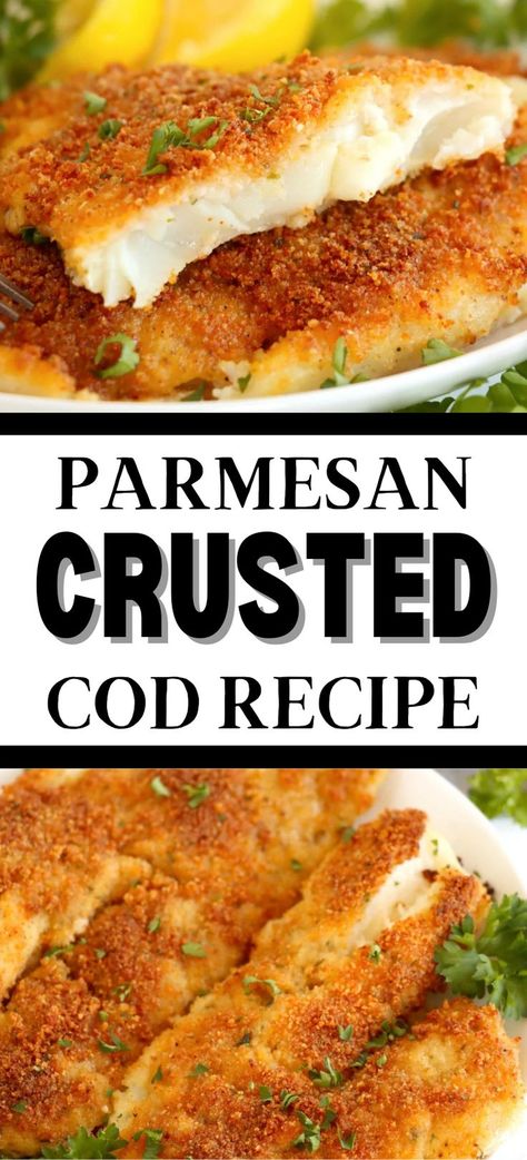 Collage of closeup shot of parmesan crusted cod filets at top and overhead shot of parmesan crusted cod filets at bottom. Casserole Recipes Beef, Cod Fish Recipes Baked, Cod Recipes Healthy, Parmesan Crusted Cod, Cod Fillet Recipes, Crusted Cod, Cod Dishes, Baked Cod Recipes, Cod Fish Recipes