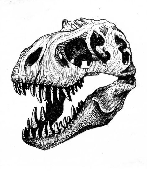 824x970 Trex Dinosaur Skull Tattoo Design, T Rex Skull Tattoo Design, Trex Skeleton Drawing, Dino Skull Drawing, Trex Skeleton Tattoo, Trex Skull Drawing, T Rex Skull Drawing, Trex Skull Tattoo, Dinosaur Skeleton Drawing