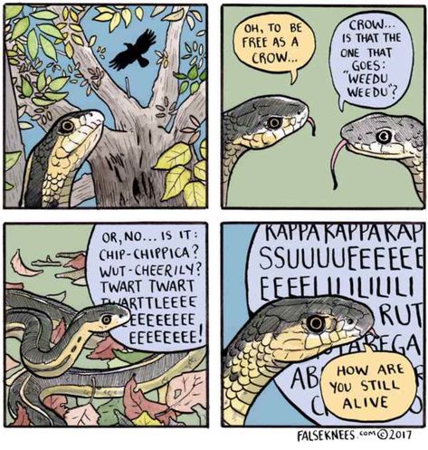 Snake Comic, False Knees, The Awkward Yeti, 4 Panel Life, Funny Animal Comics, Animal Comics, Cute Reptiles, Online Comics, Comics Story