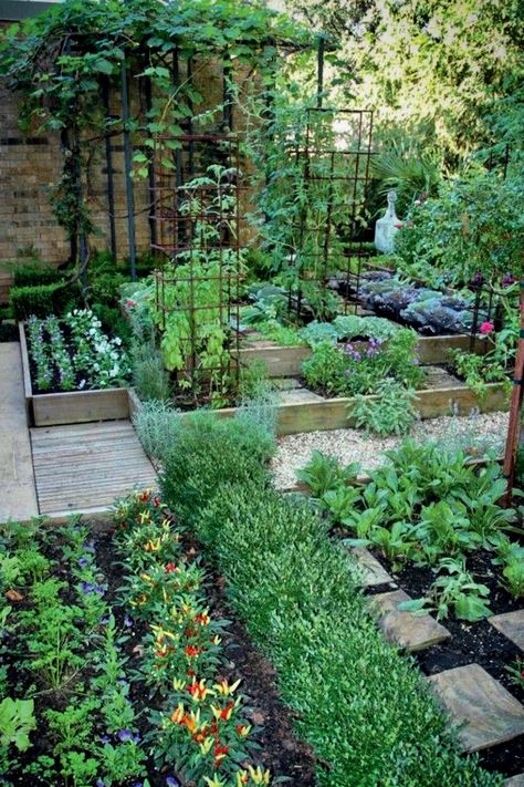 potager Vegetable Garden Design, French Garden Design, Potager Garden, Fall Garden Vegetables, Garden Vegetables, Veg Garden, Fall Garden, French Garden, Plants And Flowers