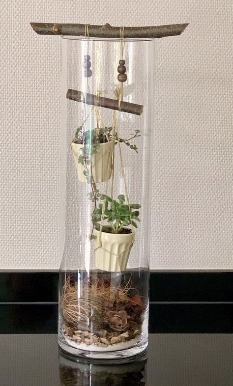 How to turn an ordinary glass vase into an amazing decoration | My desired home Grand Vase Deco, Plant In Glass, Large Glass Jar, Large Glass Vase, Glass Vase Decor, Deco Nature, Garden Terrarium, Glass Planter, Diy Vase