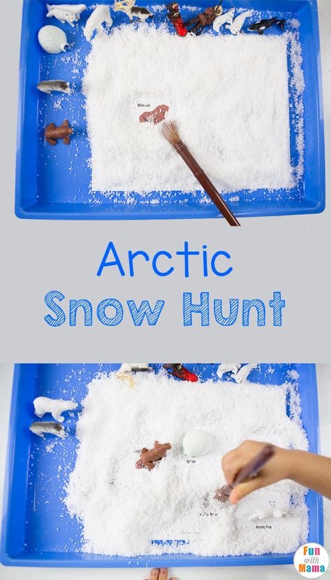 Printable Safari Ltd Toob toys fun snow hunt activity for kids. Your child will explore arctic animals with a sensory bin and work on fine motor skills. via @funwithmama Polar Animals Preschool, Arctic Animals Activities, Arctic Animals Preschool, Arctic Animals Crafts, Winter Animal Crafts, Winter Crafts Preschool, Animal Lessons, Winter Activities Preschool, Sensory Exploration