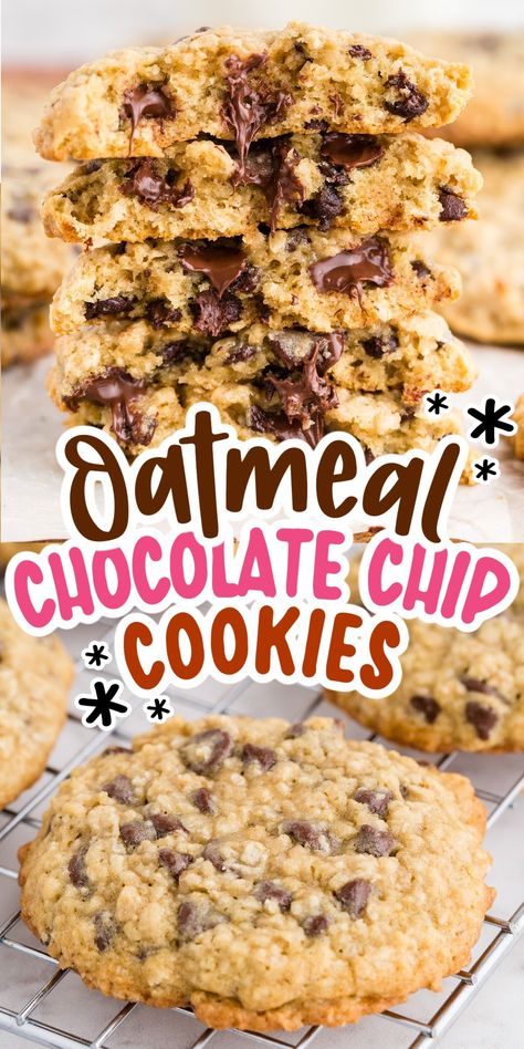 Oatmeal Chocolate Chip Cookies are chewy on the inside, crunchy on the outside, and loaded with gooey chocolate chips! Enjoy these cookies with a glass of milk as a breakfast treat or snack. Chewy Chocolate Oatmeal Cookies, Cookies With Chocolate Chips Recipes, Chocolate Chop Cookies, Oatmeal Dark Chocolate Chip Cookies, Oatmeal Cinnamon Chip Cookies, Chocolate Chip Cookies With Oatmeal, Oatmeal And Chocolate Chip Cookies, Oatmeal Walnut Chocolate Chip Cookies, Oatmeal Chocolate Chip Cookie Recipe Chewy