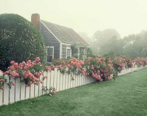 Cape Cod Landscaping, Cape Cod House Exterior, Cape Cod Cottage, Cape Cod Style House, Cape Cod Style, Front Yard Fence, Cape House, Cape Cod House, White Picket Fence