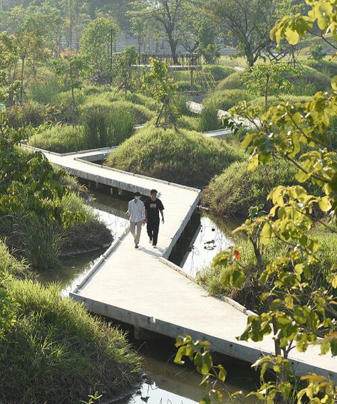 Community Park Design, Museum Architect, Forest Conservation, Park Design, Urban Forest, Community Park, Urban Park, Landscape Plans, Parking Design