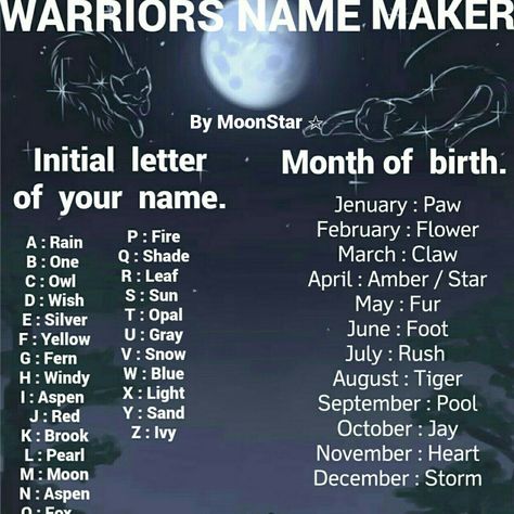 Warrior Cats Oc Maker, Warrior Cats Name Generator, Funny Name Generator, Warrior Cat Names, Name Maker, Moon Pool, Cats Name, Warrior Cats Comics, Cat Warriors