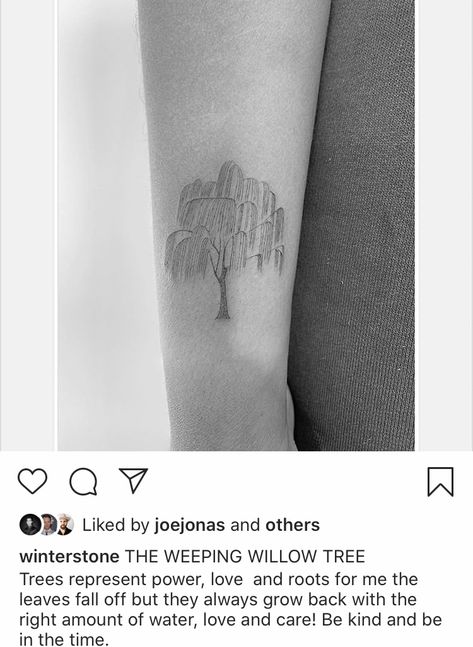 Fine Line Willow Tree Tattoo, Weeping Willow Tree Tattoo, Weeping Willow Tattoo, Willow Tattoo, Willow Tree Tattoo, Willow Tree Tattoos, Weeping Willow Tree, Weeping Willow, Discreet Tattoos