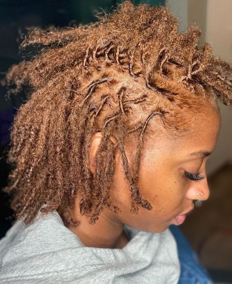 Honey Blonde Starter Locs Black Women, Honey Locs Black Women, Brown Starter Locs, Fall Hair Colors For Black Women Locs, Chocolate Locs Black Women, Brown Colored Locs, Strawberry Blonde Locs, Ginger Colored Locs Black Women, Locs Hair Color Ideas