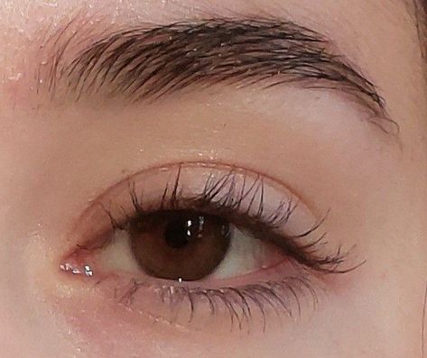 Eyelash Claims For Dr, 18th Century Landscape, Brown Eyes Aesthetic, Bentuk Alis, Pretty Brown Eyes, Glossy Eyes, Eye Pictures, Photos Of Eyes, Doe Eyes