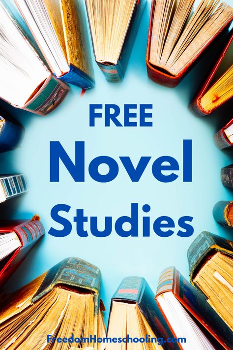 Free homeschool novel studies, book guides, and lesson plans for every grade. High School Novel Study, 2nd Grade Novel Studies, 6th Grade Novel Studies, Second Grade Books, Literature Unit Studies, Holes Book, Novel Study Activities, Novel Study Units, Homeschool Lessons