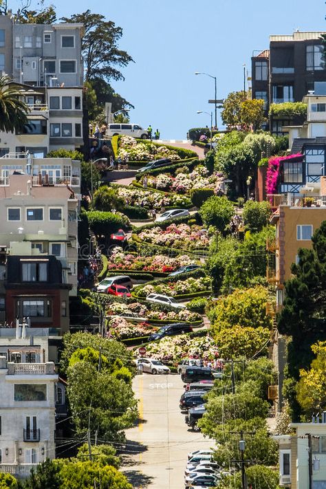 San Francisco Lombard Street, San Francisco Japan Town, Sanfransico California Aesthetic, Sanfransico California, Lombard Street San Francisco, Lands End San Francisco, San Francisco Aesthetic, North Beach San Francisco, San Francisco Beach