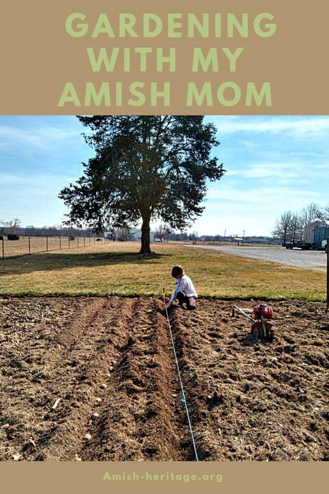 Gardening Pictures Of Vegetable Gardens, Midwest Vegetable Garden, Amish Garden Layout, Garden For Family Of 4, Container Garden Layout, Vegetable Patch, How To Start A Garden From Scratch, Amish Garden, Starting A Garden From Scratch