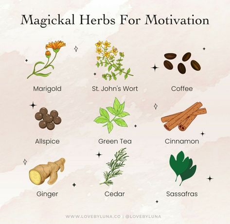 Motivation Herbs Witchcraft, Motivation Oil Witchcraft, Herbs For Motivation Witchcraft, Herbs For Aries, Herbs For Motivation, Herbs For Creativity, Aries Herbs, Happiness Herbs, Herbs For Energy