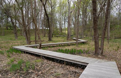 Art is woven into the landscape at Potomac’s Glenstone Museum | Travel | bayjournal.com Outdoor Museum Landscape, Glenstone Museum, Park Proposal, Outdoor Museum, Contemporary Art Museum, Aha Moment, Potomac River, Montgomery County, Outdoor Sculpture