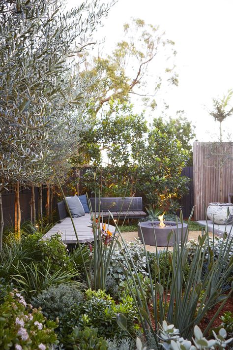 Coastal garden Sydney, garden design, landscape design eastern suburbs Australian Garden Design, Moderne Have, Australian Native Garden, Courtyard Gardens Design, Outdoor Seating Area, Australian Garden, Garden Wallpaper, Coastal Gardens, Outdoor Gardens Design