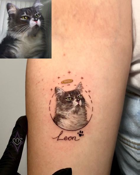 Cat Halo Tattoo, Lost Cat Tattoo, Spine Tattoo Simple, Small Tattoo Ideas Back, Finger Tattoo Minimalist, Cat Memorial Tattoo, Cat Tattoos Ideas, Tattoo Ideas Back, Simple Cat Tattoo