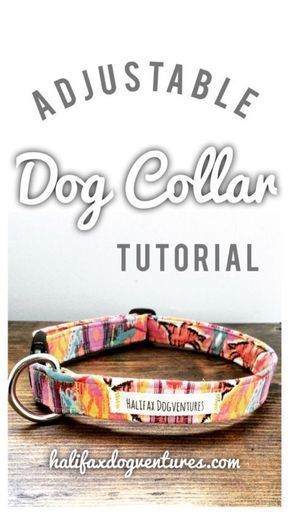 Learn how to make this super cute, super easy adjustable dog collar. DIY adjustable fabric dog collar tutorial: halifaxdogventures.com Dog Collar Pattern, Dogs Diy Projects, Diy Dog Collar, Collars Diy, Dog Insurance, Diy Collier, Dog Clothes Patterns, Dog Crafts, Dog Teeth