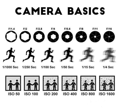 Camera Tips, Photography Cheat Sheets, Fotography Ideas, Beginner Photography Camera, Camera Basics, Foto Sport, Manual Photography, Digital Photography Lessons, Filmmaking Cinematography