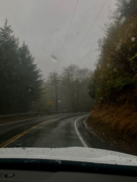 Rainy Winter Aesthetic, Washington Gothic, Roslyn Aesthetic, Forks Washington Aesthetic, Dark Country Aesthetic, Gloomy Scenery, Washington State Aesthetic, Washington Aesthetic, Washington Winter