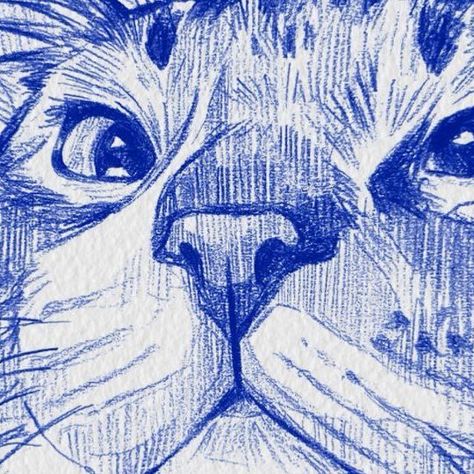 Cat Scribble Art, Pet Drawing Ideas, Cat Sketches Pencil, Cat Sketchbook Page, Blue Pencil Drawing, Petting Cat Drawing, Art Inspo Pencil, Cat Sketch Pencil, Pencil Cat Drawing