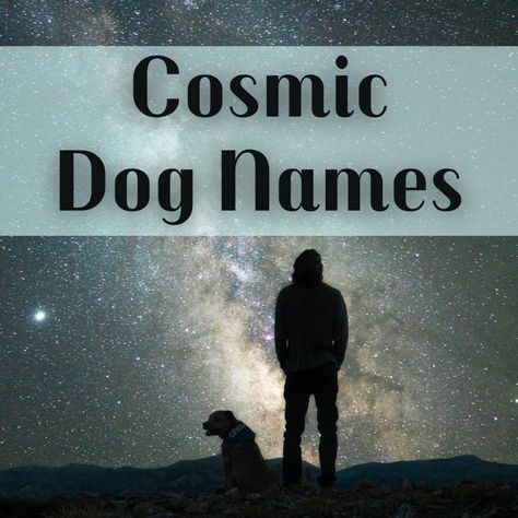 Space Names For Pets, Witchy Dog Names, Good Puppy Names, Big Dog Names, Galaxy Names, Spiritual Names, The Dog Star, Dog Names Unique, Space Names