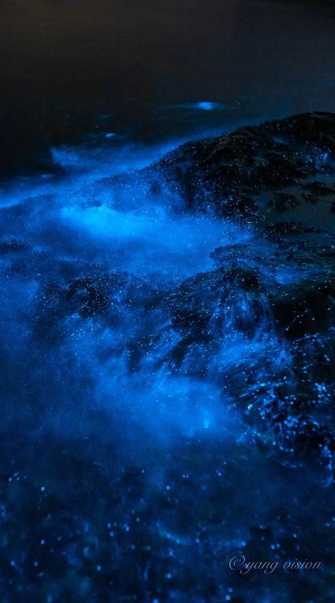 Ocean Underwater Aesthetic Wallpaper, Oceancore Aesthetic Wallpaper, Bioilluminescent Sea, S24 Ultra Wallpaper Aesthetic, Sea Of Stars Wallpaper, Sea Of Stars Aesthetic, Dark Blue Ocean Aesthetic, Deep Ocean Aesthetic, Bioluminescence Aesthetic