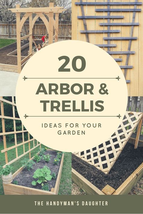 Looking for arbor or trellis ideas for your garden? Here are 20 amazing options to give your climbing vines the support they need to grow and thrive. These easy DIY trellis and arbor projects can have your garden looking amazing in no time! #trellis #arbor #garden #gardening #vines via @handymansdaught Diy Arbour, Ladder Ideas, Pergola Diy, Vine Trellis, Wood Trellis, Diy Garden Trellis, Arbors Trellis, Trellis Ideas, Lattice Trellis