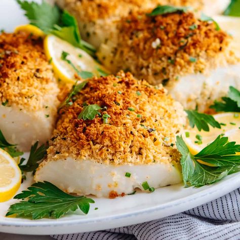 Parmesan Crusted Baked Cod is the perfect balance of healthful and decadent. A quick and easy recipe to make in your oven. Your tastebuds and your waistline will thank you! Panko Crusted Cod, Parmesan Crusted Cod, Parmesan Crusted Fish, Oven Baked Cod, Crusted Cod, Crusted Fish, Heart Healthy Meals, Ground Recipes, Fish Recipes Baked