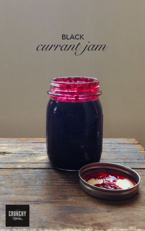 Current Jam Recipes, Current Jelly Recipe, Black Currents, Black Currant Recipes, Black Currant Jam, Currant Recipes, Currant Jam, Currant Bush, Kat Diy