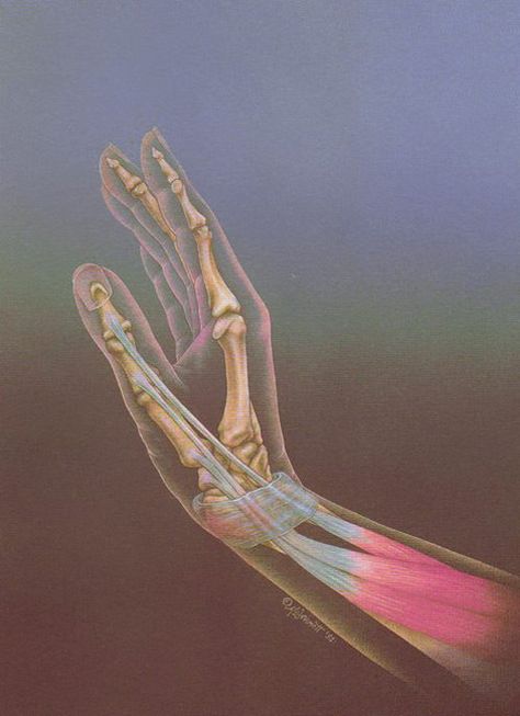 70s Sci-Fi Art: Anyone know the artist for this one? Couldn’t find... Sensory Art, Aura Colors, Scientific Illustration, Medical Illustration, Ethereal Art, Anatomy Art, Retro Futurism, A Drawing, Aesthetic Art