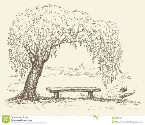 Old Bench Under A Willow Tree By The Lake Royalty Free Stock ... Under A Willow Tree, Bench Drawing, A Willow Tree, Old Benches, Chair Drawing, Illustration Landscape, Tree Wedding Invitations, Tree Sketches, Landscape Sketch