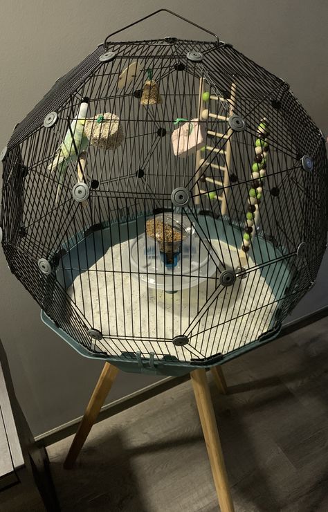 Budgie Cage, Cockatiel Cage, Popsicle Stick Crafts House, Pet Bird Cage, Budgies Bird, Pet Enclosure, Pet Spa, Bird Aviary, Bird Cage Decor