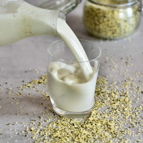 Hemp Milk Benefits, Hemp Milk Recipes, Hemp Seed Milk, Cold Drinks Recipes, Milk Benefits, Hemp Milk, Homemade Vanilla Extract, Nut Milk Bag, Hemp Protein