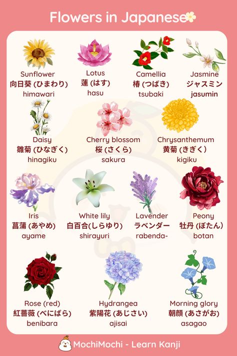 You want to learn Japanese to find out Japan culture or whatever, but don’t know how to start? Let’s start learning Japanese with this website: https://kanji.mochidemy.com #flowersvocabulary #flowersinjapanese #learnjapanese #japaneseforbeginners #Japanesevocabulary #japanesephrase #jobs #flowers #flowersvocabulary Japanese Flower Names, Japanese Last Names, Learn Kanji, Beautiful Japanese Words, Japanese Pictures, Japanese Lotus, Basic Japanese, Basic Chinese, Bahasa Jepun