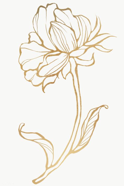 Gold Line Png, Drawing Gold, Line Png, Flower Line Art, Tree Drawings Pencil, Line Art Flowers, Leaf Outline, Flower Outline, Transparent Flowers