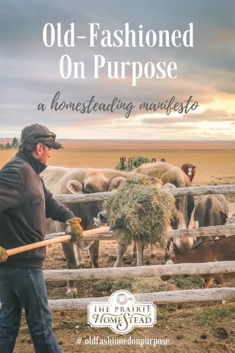 old-fashioned on purpose, modern homesteading movement manifesto Prairie Homestead, Diy Survival, Modern Homesteading, Homesteading Diy, Homestead Farm, Homesteading Skills, Urban Homesteading, Homestead Survival, Backyard Farming