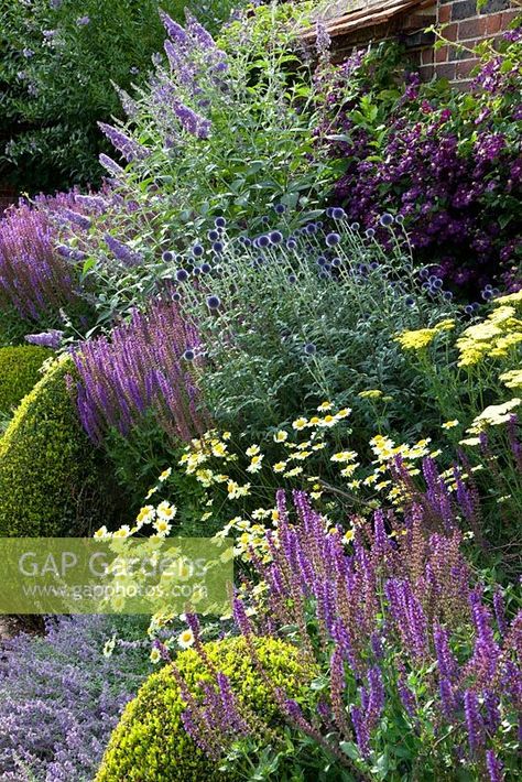 Salvia Garden, Summer Border, Rosen Beet, Garden Illustration, English Cottage Garden, Garden Aesthetic, Big Garden, Pink Garden, Flowers Wallpaper