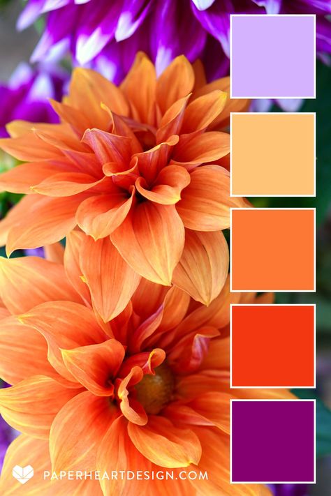 Carrot Colour Combination, September Color Palette 2023, Color Pallet For Branding, Orange Colour Palette Inspiration, Flower Colour Combinations, Orange Pink Purple Color Palette, Color Pallets With Orange, Spring Decor Color Palette, Colors That Go Good Together