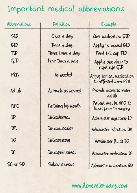 Vet Med Abbreviations | I Love Veterinary - Blog for Veterinarians, Vet Techs, Students Livestock Veterinarian Notes, Medical Abbreviations, Vet Nursing, Veterinary Nursing, Veterinarian Technician, Vet Tech School, Veterinary Tech, Vet Tech Student, Vet Life