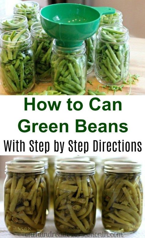 Canning 101 - How to Can Green Beans - One Hundred Dollars a Month Green Bean Ideas, Canning Green Beans, Homestead Food, Easy Canning, Pressure Canning Recipes, Canning 101, Canning Fruit, Preserve Food, Home Canning Recipes