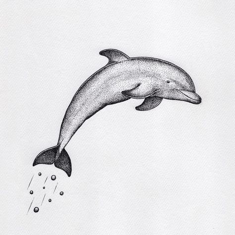 Dolphin🐬 I really enjoyed the process. I think I'll draw more ocean animal in future. Do you like the ocean theme? . . . . #tattoodesign #artist #drawingoftheday #mountain #designinspiration #handdrawing  #canson ##ocean #dolphin #dotworknow Underwater Sleeve, Dolphin Icon, Stippling Tattoo, Dolphin Drawing, Cupid Tattoo, Dolphins Tattoo, Animal Outline, Stippling Art, Drawing Things