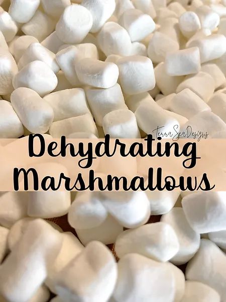 70s Food, Food Dehydration, Dehydrating Food, Food Foraging, Vegan Marshmallows, Homemade Marshmallows, Dehydrated Food, Wild Edibles, Dehydrator Recipes