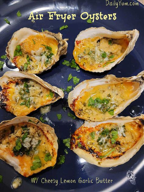 Air Fryer Oysters with Cheesy Lemon Garlic Butter - Daily Yum Airfry Oysters, Air Fry Oysters, Airfryer Oysters, Air Fried Oysters, Fried Oysters In Air Fryer, Oysters In Air Fryer, Air Fryer Oysters, Air Fryer Oyster Recipes, Oyster Casserole