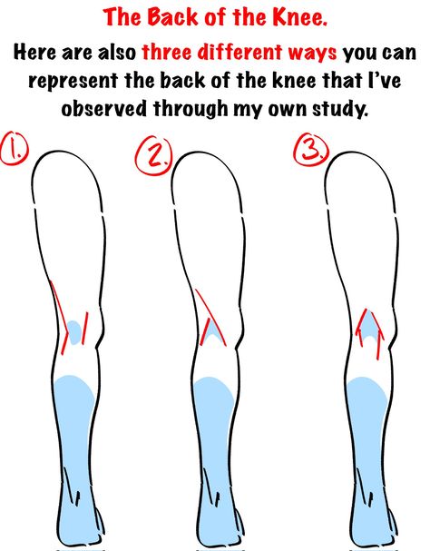 Leg References, Twitter Notes, Drawing Legs, Anatomy Tutorial, Human Anatomy Drawing, Body Drawing Tutorial, Human Anatomy Art, Anatomy Sketches, Anatomy Poses