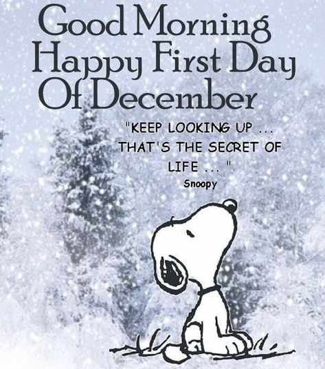 December Quotes Happy, December 1st Quotes, Welcome December Quotes, Hello December Quotes, Hello February Quotes, First Day Of December, February Quotes, Charlie Brown Quotes, Welcome December